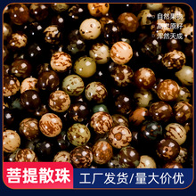 菩提散珠虎斑菩提子多宝菩提白玉菩提子菩提散珠菩提子源头工厂