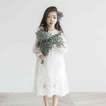 童装女童蕾丝连衣裙春季长袖公主裙子2019韩版新款中大童儿童长裙