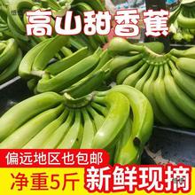 云南香蕉高山香蕉10斤小米新鲜水果现摘生青香蕉banana自然熟绿皮
