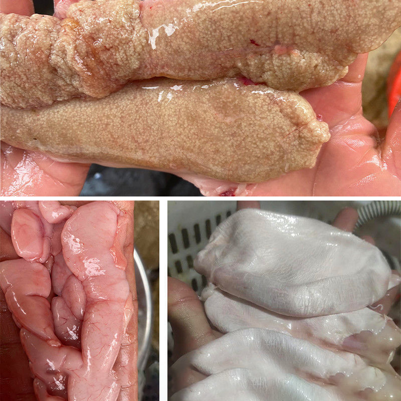 新鲜鲤鱼籽鱼蛋鱼泡鱼卵鱼籽鱼白鱼杂鱼漂现发产地直发现货包邮