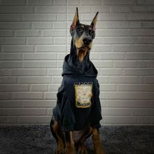 狗狗衣服秋冬大型犬金毛拉布拉多杜宾防掉毛衣服网红狗狗加绒保暖