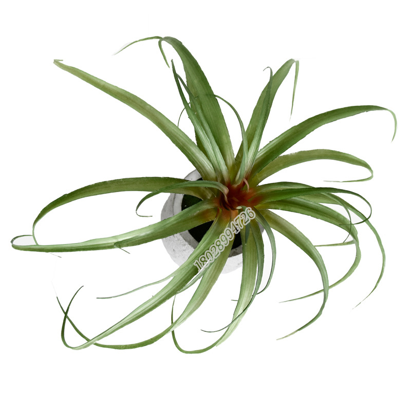 10款空气凤梨仿真多肉植物植绒凤梨草家居装饰花艺插花植物墙配草