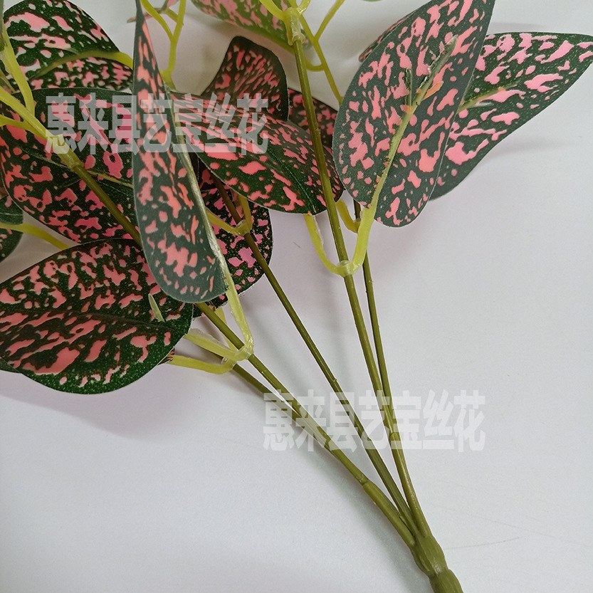 仿真刀枪叶 5头星点木 植物草坪仿真把束叶子 植物墙配材配件装饰