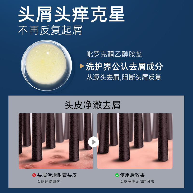 Amino Acid Silicone Oil-Free Shampoo Lotion Customized Labeling Anti-Dandruff Oil Control Perfume Shampoo OEM Processing