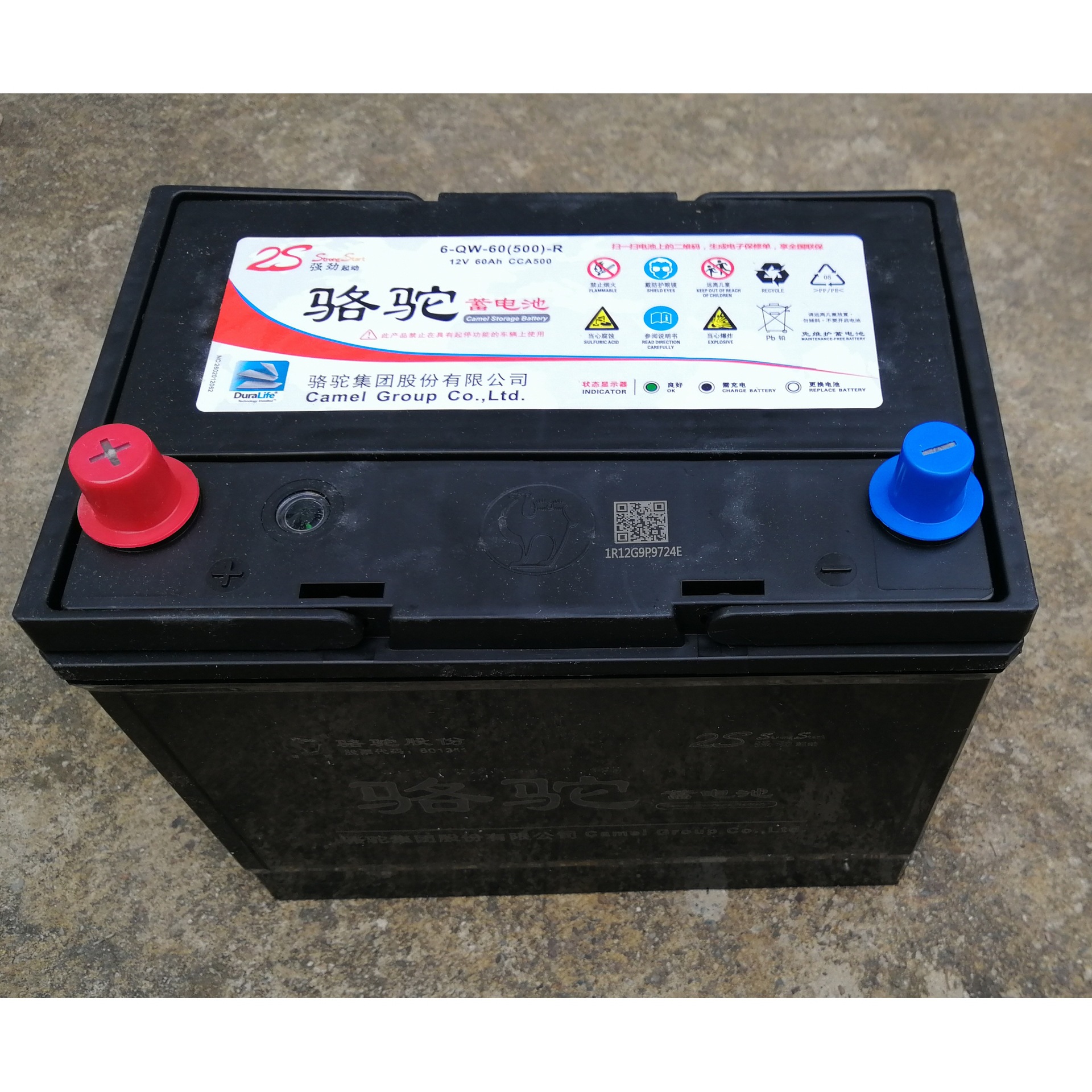 骆驼蓄电池6-qwlz-60 铅酸免维护蓄电池 12v60ah(6-qw-60)电瓶