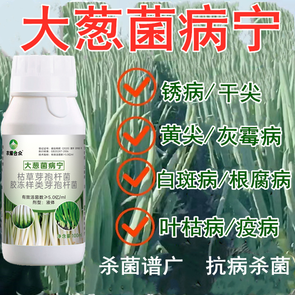 大葱病害清干尖灵小香葱锈病枯尖白斑病灰霉病专用药菌立清杀菌剂