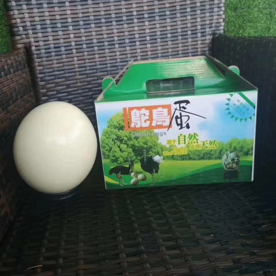 非洲鸵鸟蛋 农场新鲜非洲鸵鸟巨蛋绿色食品高端食材节日送礼盒装