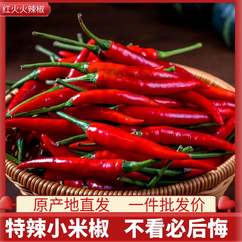 小米辣椒现摘朝天椒特辣新鲜辣鲜椒蔬菜辣椒红辣椒指天椒批发泡椒