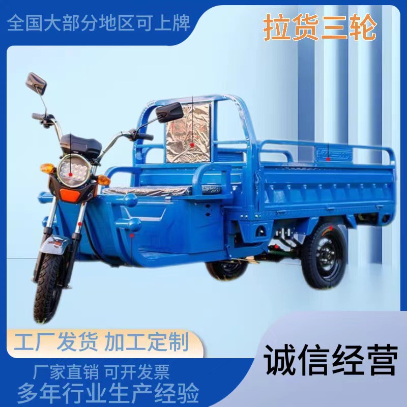 三轮电动车家用载货王成人电瓶三轮电动车 家用,电动三轮车 家用