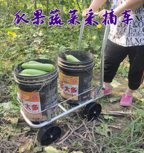 番茄采摘车农用大棚蔬菜瓜果运输折叠车果园懒汉工具车大桶水推车