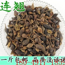 新货连翘 农家莲翘深山连翘 材连翘茶 500克包邮H6