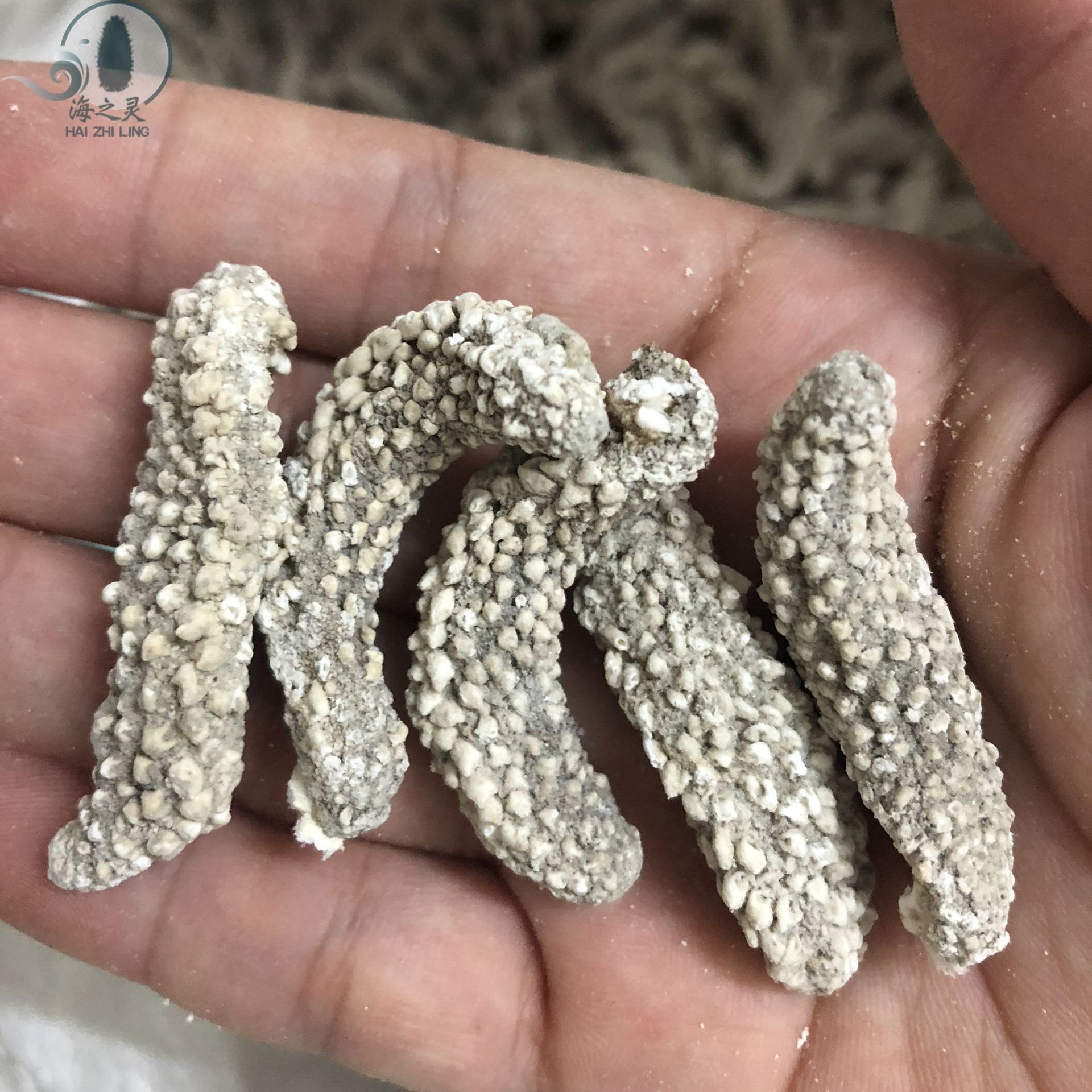 8干300头 全国一件代发-阿里巴巴