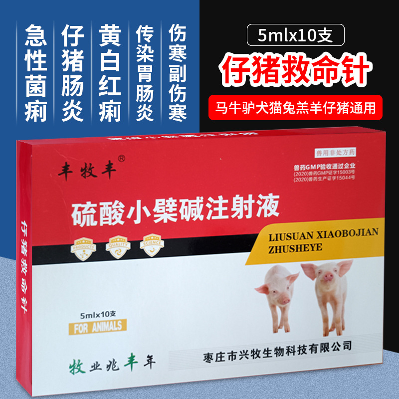 兽药兽用硫酸小檗碱注射液仔猪救命针黄白痢病毒腹泻拉稀脱水痢疾