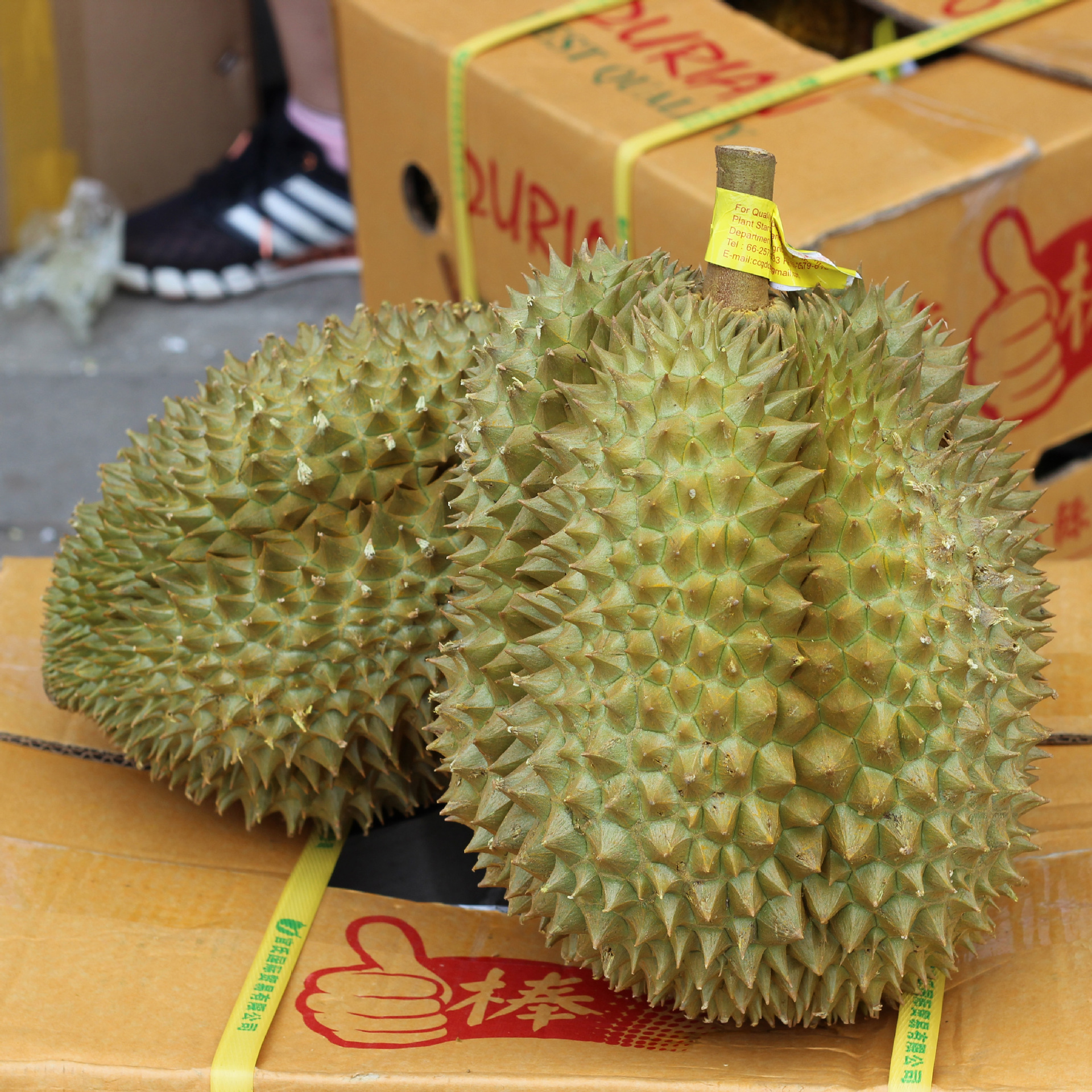 泰国金枕榴莲精选果现货新鲜水果顺丰