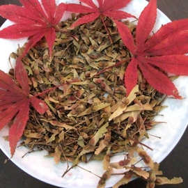 0成交6笔宿迁市红枫种子播种 观赏树种子多年生盆栽庭院观叶植物花