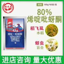 横扫80%烯啶吡蚜酮水分散粒剂水稻稻飞虱蚜虫农药杀虫剂100g