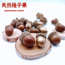 橡果橡子壳 干花果壳手工diy材料拍摄道具橡子帽圣诞花环装饰挂件