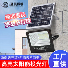 太阳能灯户外庭院灯投光灯感应灯led家用照明路灯太阳能灯具批发