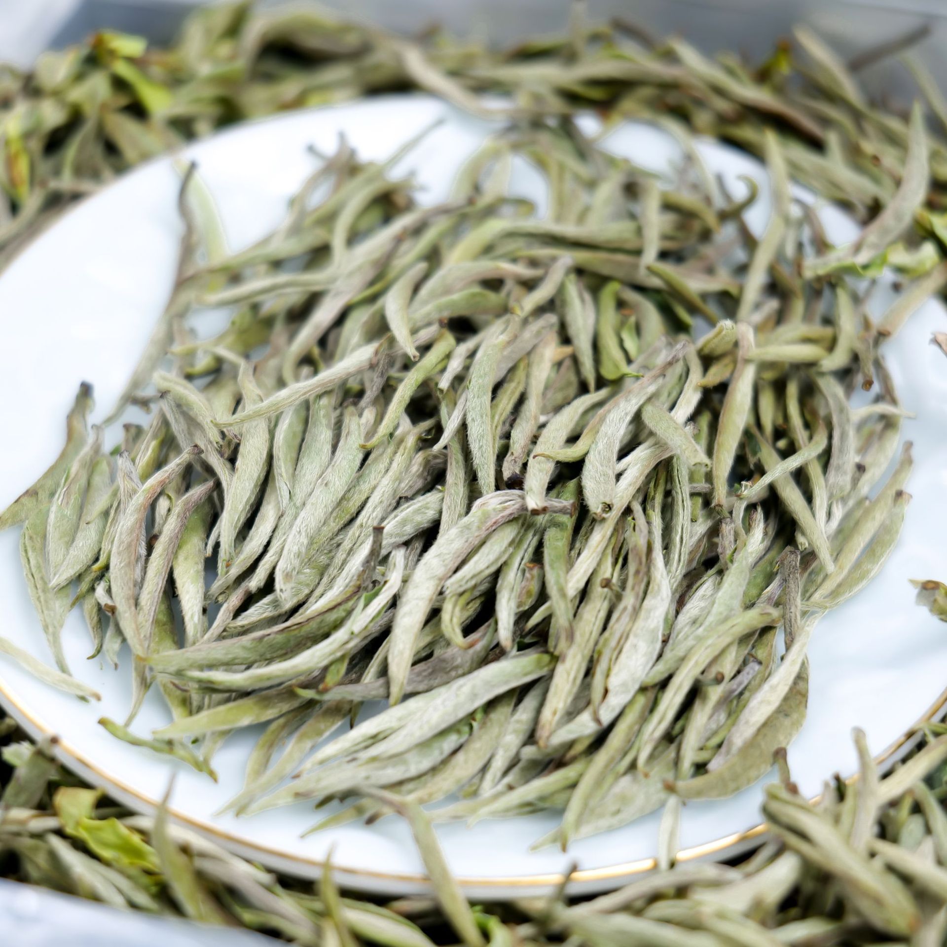 福鼎白茶春茶白毫银针散装米芽银针高山日晒白茶白毫银针厂家批发