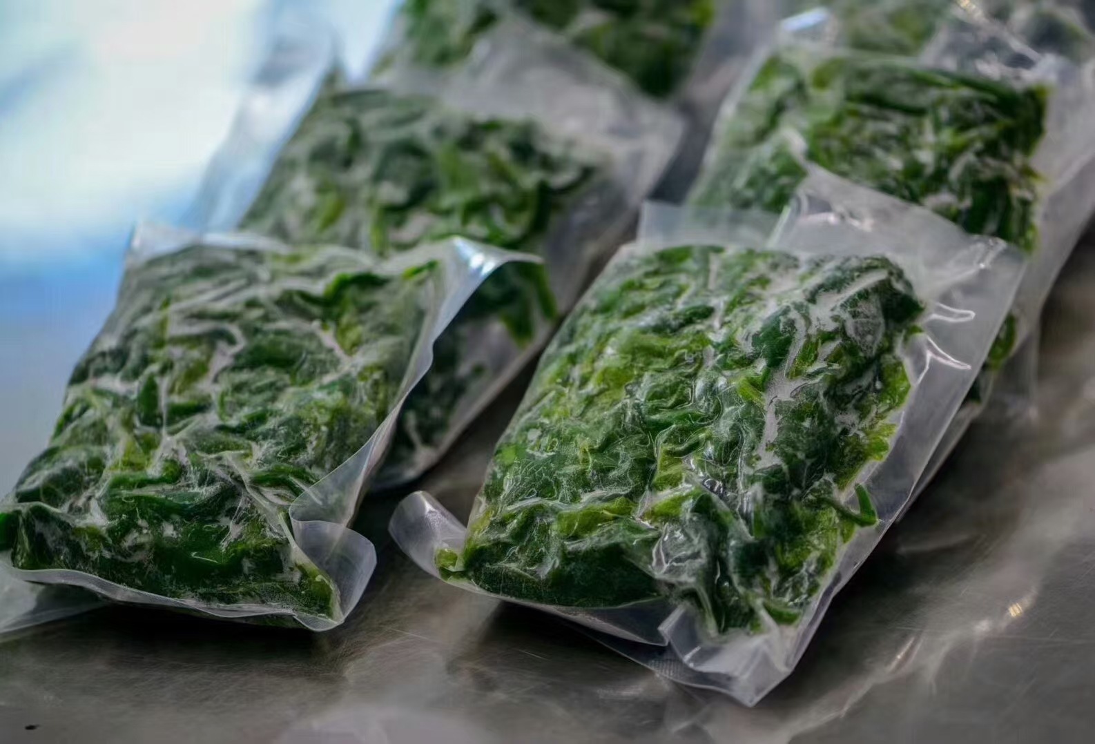 新鲜冷冻桑叶嫩桑芽桑芽菜餐厅农庄上汤炒菜商用嫩桑芽菜整箱批发