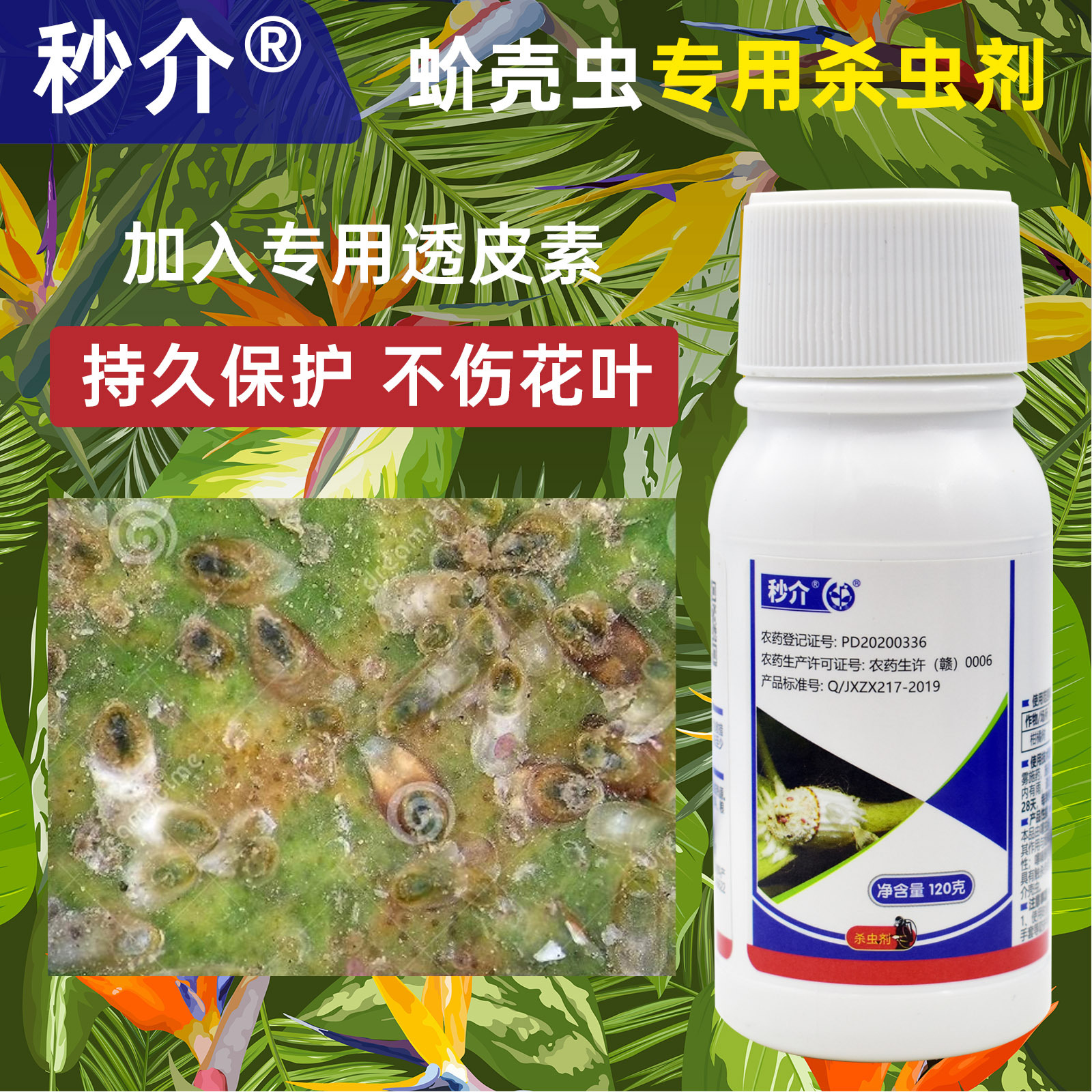 噻虫胺.噻嗪酮蚧壳虫专用药花卉植物通用小白药杀虫剂专杀蚧必治