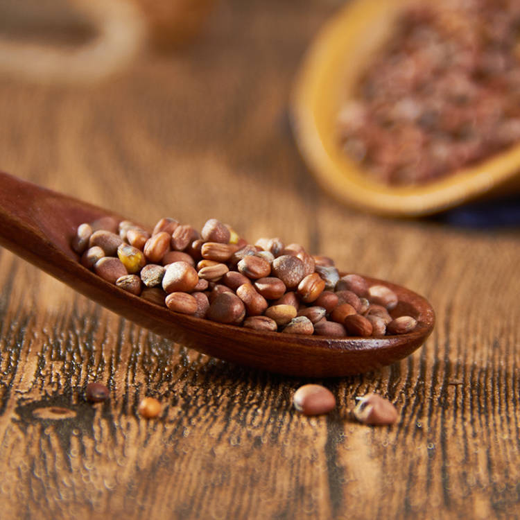 炒莱菔子500克包邮材莱菔子白萝卜籽新货50克可搭配苏子