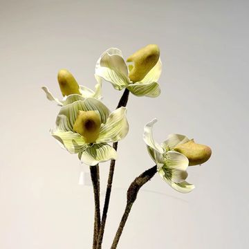 单只兜兰花朵仿真兰花地被花艺装饰插花网红直播间装饰假花餐桌