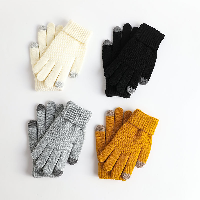 Cross-Border in Stock Autumn and Winter Gloves Fleece-lined Men's and Women's Fashion Touch Screen Jacquard Reverse Needle Winter Warm Gloves