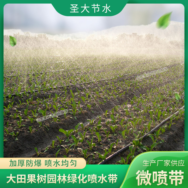 大田果樹園林綠化微噴帶霧狀噴水帶廠家山東圣大節水科技有限公司