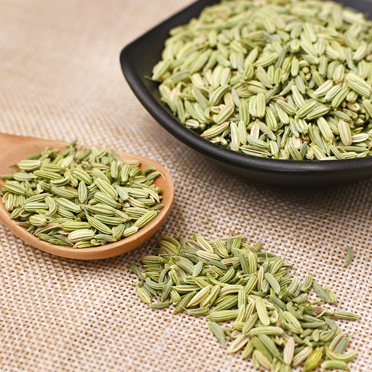 小茴香500克/250g/50g 甘肃茴香籽小回香小荤香子调料香料可打粉