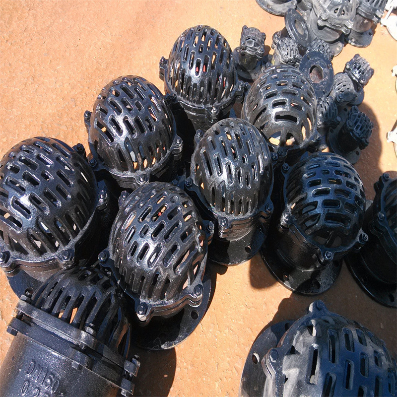 6p 水泵吸水止回阀 不锈钢法兰底阀 莲蓬头 50