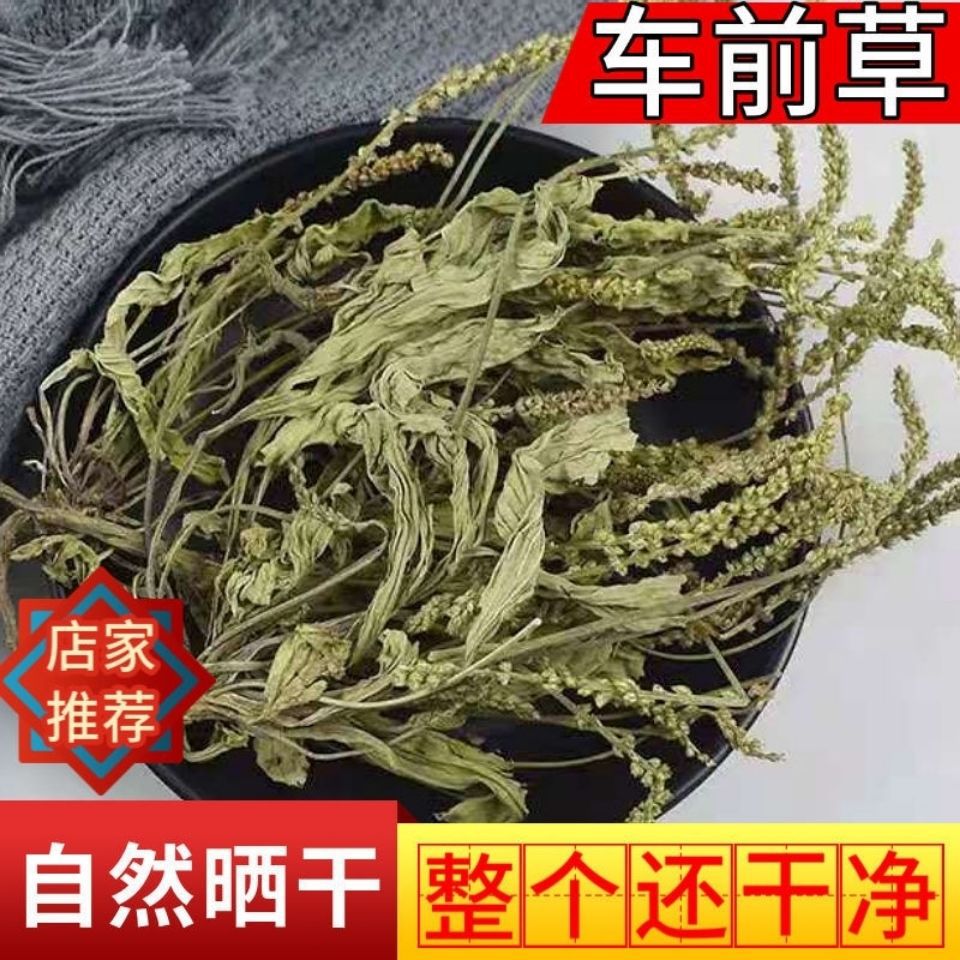 0成交81件潮汕新鲜小号白花蛇舌草可搭配车前草,猫毛草一起煮￥33.