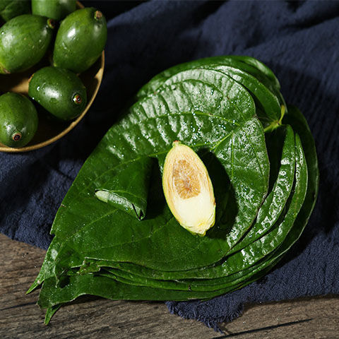 生槟榔100克青槟榔果陵水生冰榔戒烟新鲜青嫩体验装海南槟榔生果