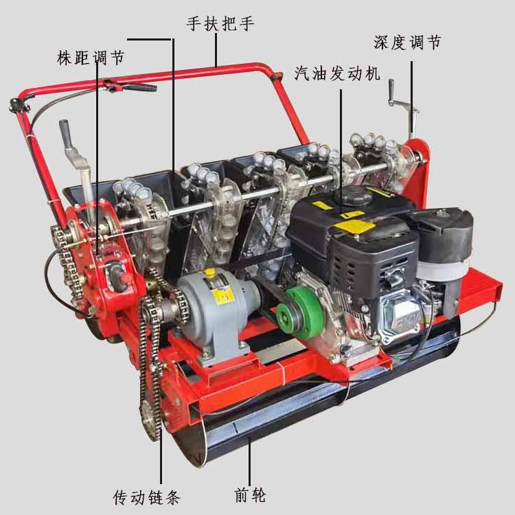 多行大蒜播种机 自动种蒜的机器 汽油机带动大蒜播种机-阿里巴巴