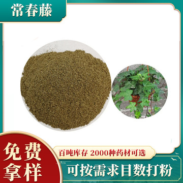 免费拿样常春藤原料 三角枫细粉追风藤中药钻天风泡酒工厂批发