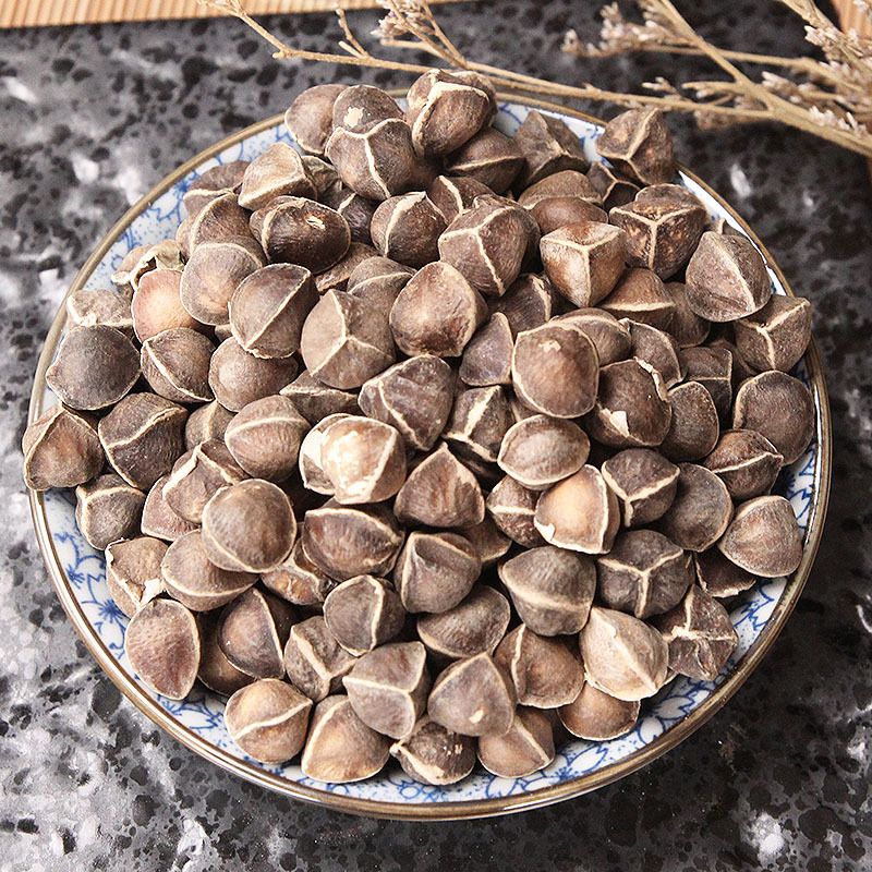 批发印度辣木籽非洲辣木籽食用散装袋装一件代发