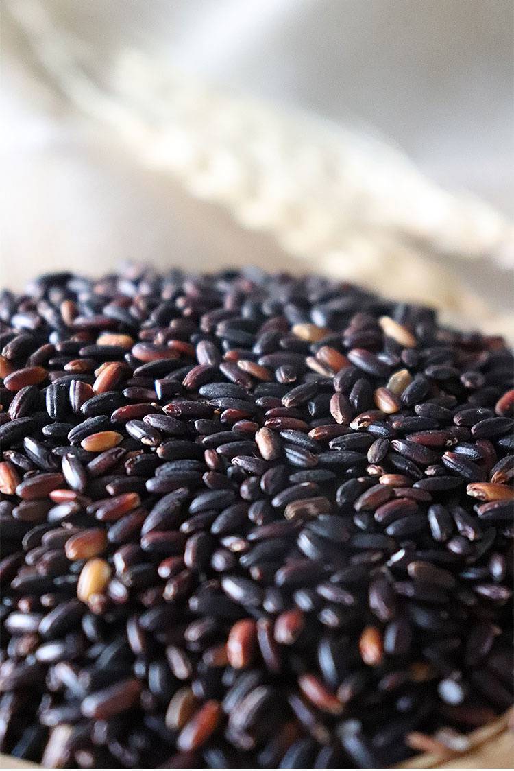 黑龙江东北黑糯米5斤血糯米新米农家自产粘米黑米粥黑香米紫米2斤