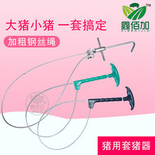 鑫佰加猪用保定器 兽用保定器绳塑料厂家批发 不锈钢金属保定器