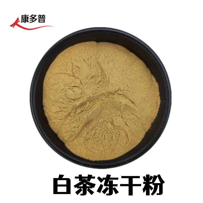 白茶冻干粉98% 水溶白茶粉 白茶茶叶提取  白茶冻干粉 500g/袋