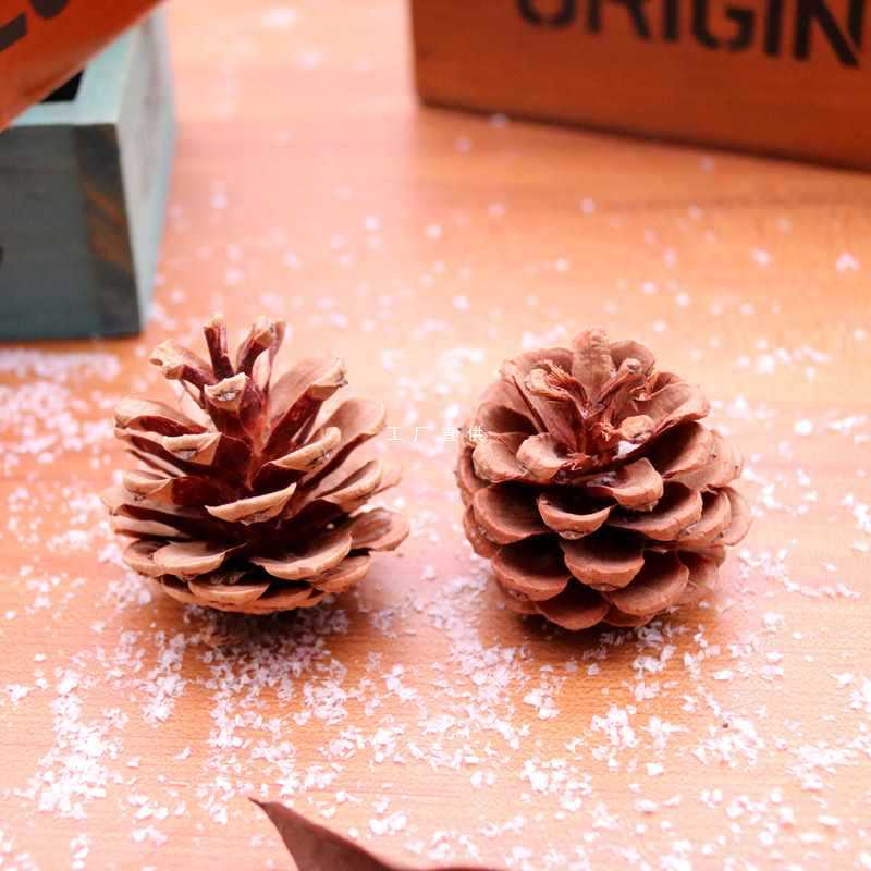 od59天然松果松球松花干花植物圣诞节装饰摆件松树松针微景观拍摄