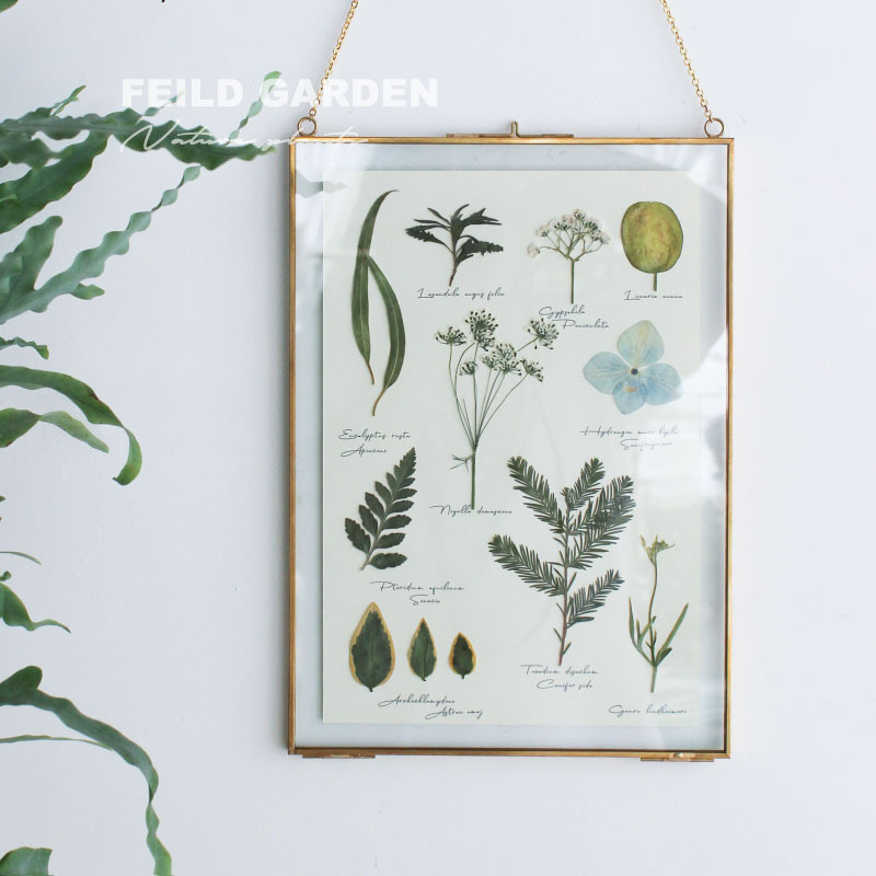feild植物手作标本装饰画干花压花挂画树叶壁挂摆件复古北欧风格