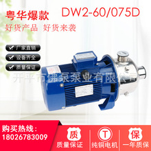 广东粤华泵DW2-60/075D多级不锈钢泵热水泵食品卫生泵循环泵