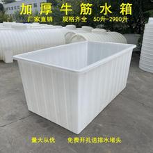 27IK加厚牛筋塑料水箱养鱼专用长方形大号方桶水产养殖养鱼箱养龟