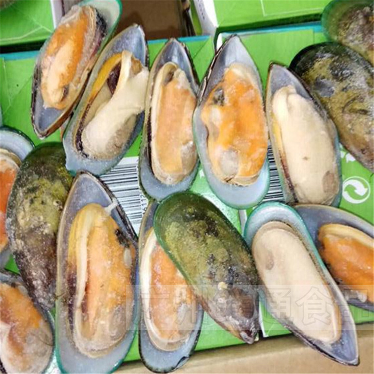 【兰维乐新西兰青口贝】冷冻半壳贻贝淡菜日料西餐厅扒房烧烤