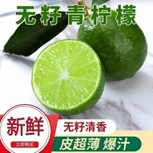 新鲜无籽青柠檬奶茶店专用多汁柠檬皮薄青柠檬浓香型小青桔批发