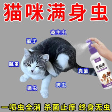 蜱虫专用药狗狗身上去蜱虫喷剂除蚤跳虱体外宠物猫驱除蜱虫清喷雾
