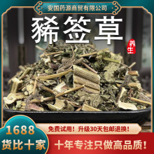 河北豨签草1斤 稀莶草 稀签草 豨莶草中草药材大全 量大从优