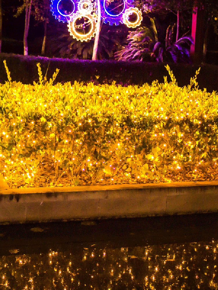 24v低压网灯渔网灯彩灯led闪灯串灯装饰草坪灌木户外防水房间布置