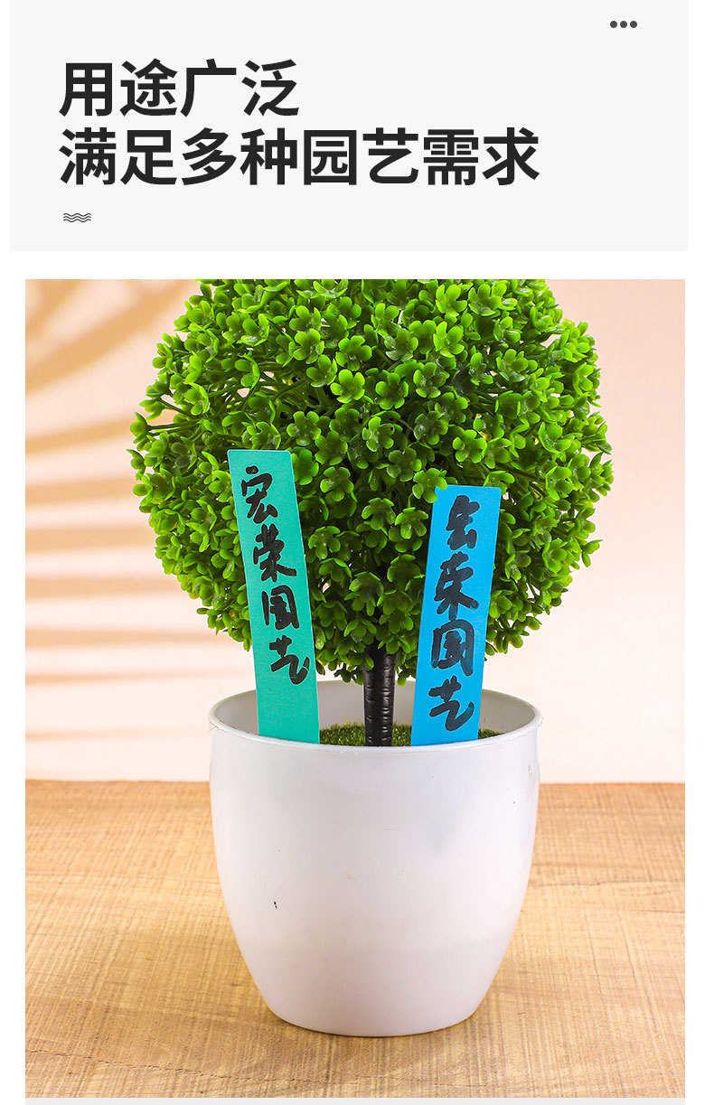 一字型多肉花盆塑料标签多肉植物花盆挡水多肉标签牌园艺插地牌