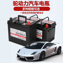 驼动力95D31R12V80安时起动电池免维护铅酸蓄电池货车农用车